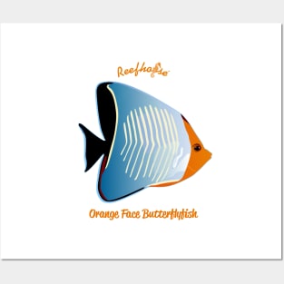 Orange Face Butterflyfish Posters and Art